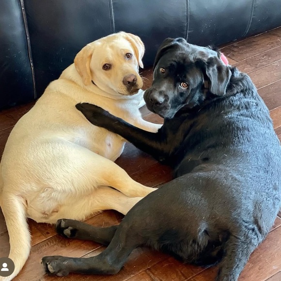 Quick list item - Picture 6 of 7